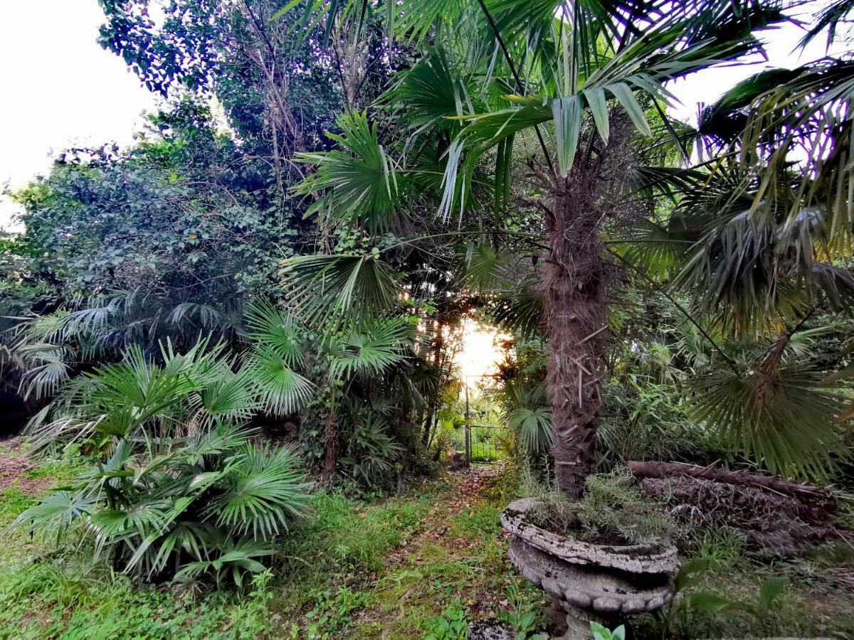 Apartamento Ive Opatija Exterior foto